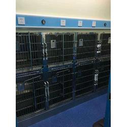 河北鼎爱金属制品 匠心打造优质不锈钢宠物笼